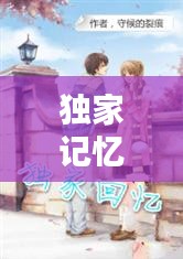 独家记忆芒茫渡，小说《独家记忆》 