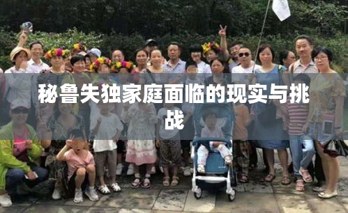 秘鲁失独家庭面临的现实与挑战