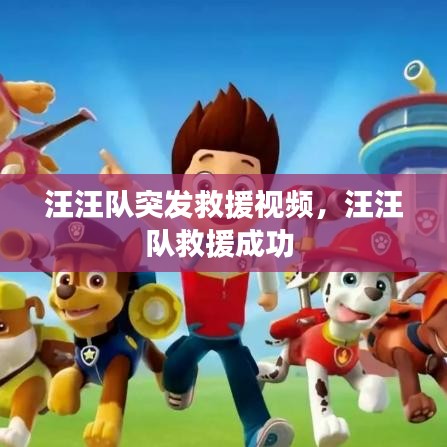 汪汪队突发救援视频，汪汪队救援成功 