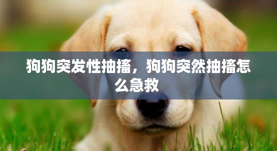 初遇在故事开头 第2页