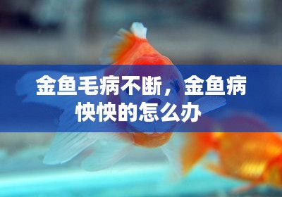 金鱼毛病不断，金鱼病怏怏的怎么办 