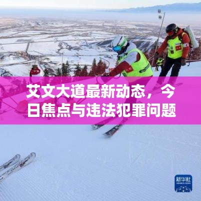 艾文大道最新动态，今日焦点与违法犯罪问题深度解析