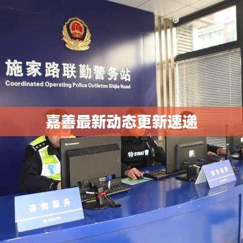 嘉善最新动态更新速递