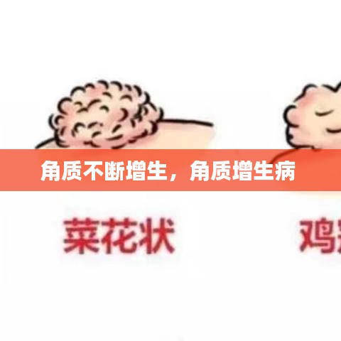 鸢飞戾天 第2页