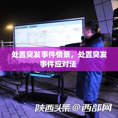 处置突发事件情景，处置突发事件应对法 