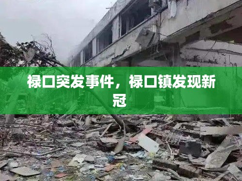 禄口突发事件，禄口镇发现新冠 