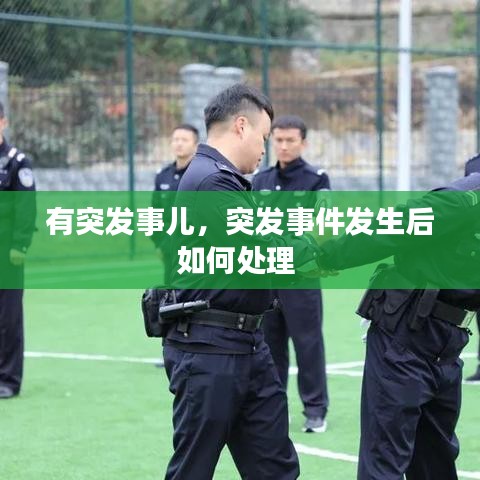 有突发事儿，突发事件发生后如何处理 