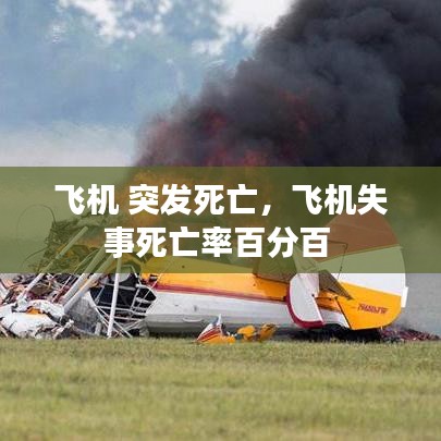 望其项背 第2页