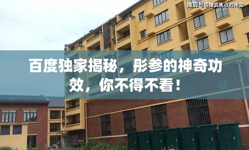 百度独家揭秘，彤参的神奇功效，你不得不看！