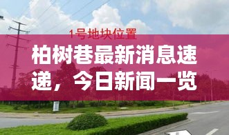 柏树巷最新消息速递，今日新闻一览