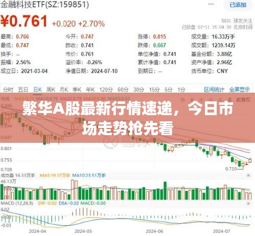 踊贵屦贱 第2页