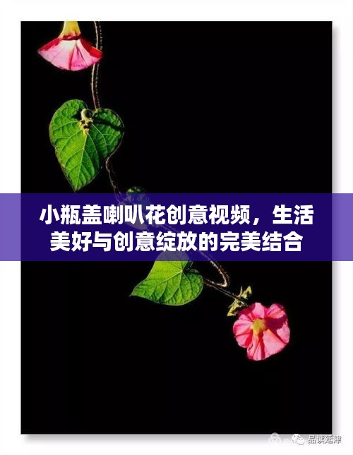 小瓶盖喇叭花创意视频，生活美好与创意绽放的完美结合