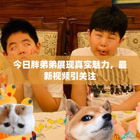 今日胖弟弟展现真实魅力，最新视频引关注