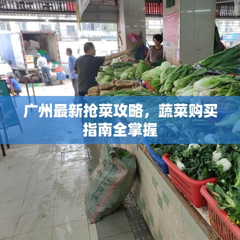 广州最新抢菜攻略，蔬菜购买指南全掌握
