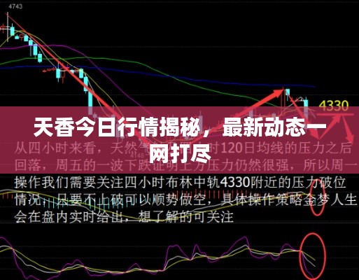 笃新怠旧 第2页