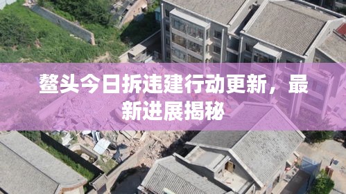 鳌头今日拆违建行动更新，最新进展揭秘