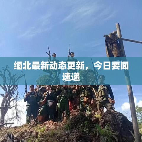缅北最新动态更新，今日要闻速递
