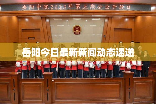 岳阳今日最新新闻动态速递