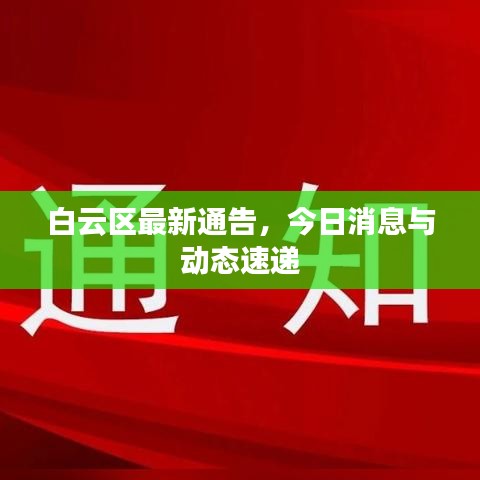 白云区最新通告，今日消息与动态速递