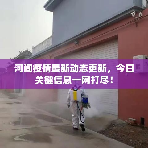 河间疫情最新动态更新，今日关键信息一网打尽！