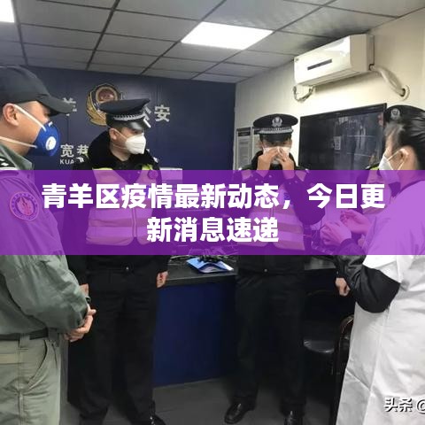 青羊区疫情最新动态，今日更新消息速递