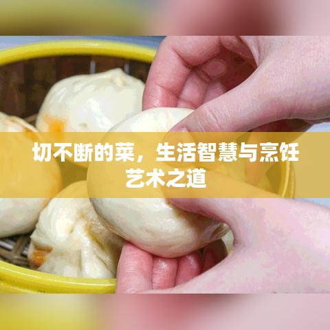 切不断的菜，生活智慧与烹饪艺术之道