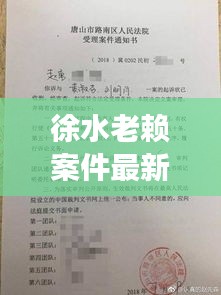 徐水老赖案件最新进展，揭秘最新通报内容