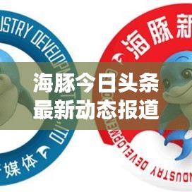 海豚今日头条最新动态报道