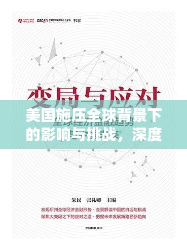 美国施压全球背景下的影响与挑战，深度解析与应对之道
