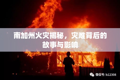 南加州火灾揭秘，灾难背后的故事与影响