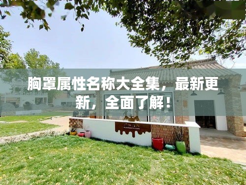 胸罩属性名称大全集，最新更新，全面了解！