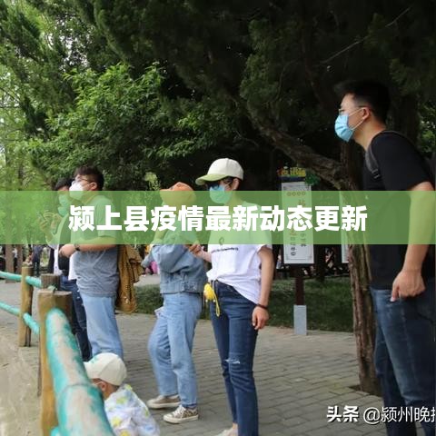 颍上县疫情最新动态更新