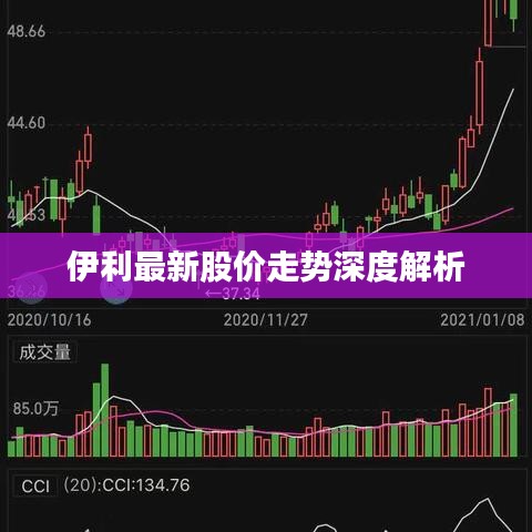 伊利最新股价走势深度解析