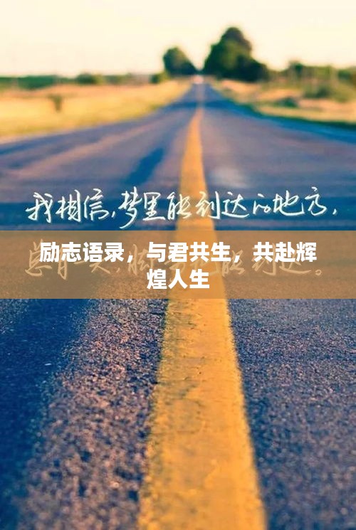 励志语录，与君共生，共赴辉煌人生