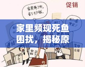 家里频现死鱼困扰，揭秘原因及解决之道
