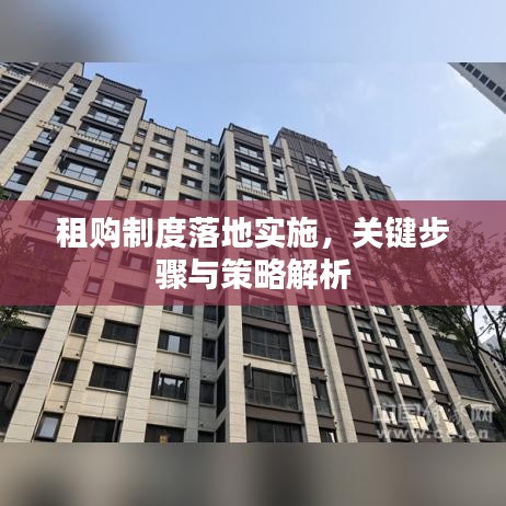 租购制度落地实施，关键步骤与策略解析
