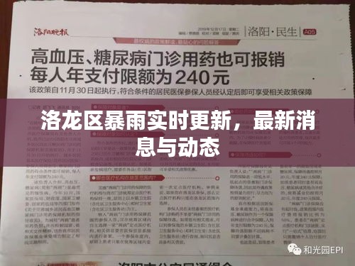 洛龙区暴雨实时更新，最新消息与动态
