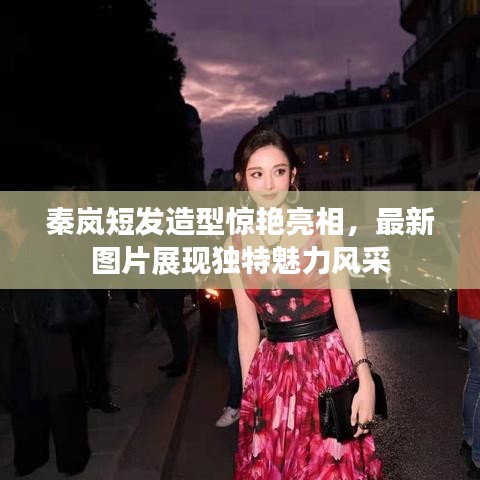 秦岚短发造型惊艳亮相，最新图片展现独特魅力风采