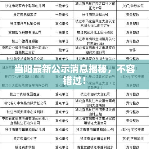 当阳最新公示消息揭秘，不容错过！