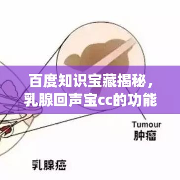 百度知识宝藏揭秘，乳腺回声宝cc的功能与应用探索