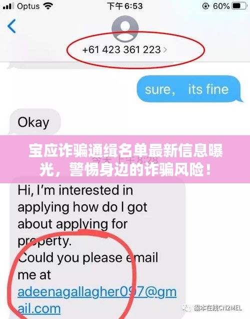 宝应诈骗通缉名单最新信息曝光，警惕身边的诈骗风险！