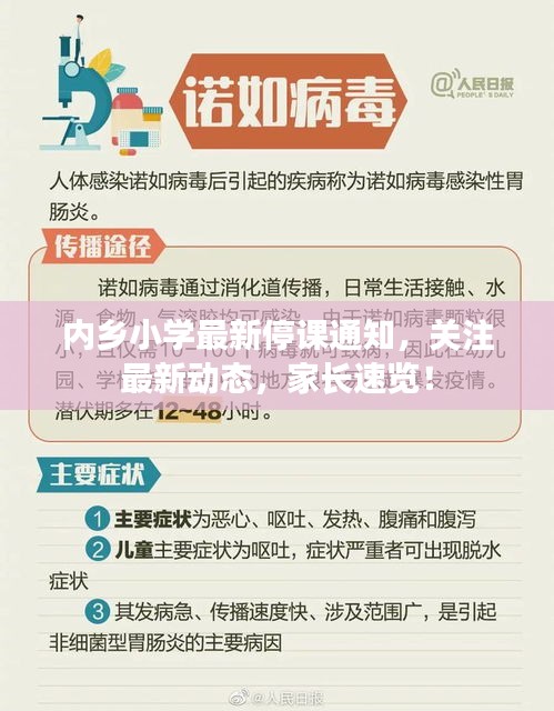 内乡小学最新停课通知，关注最新动态，家长速览！