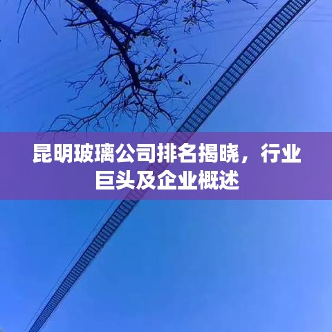 昆明玻璃公司排名揭晓，行业巨头及企业概述