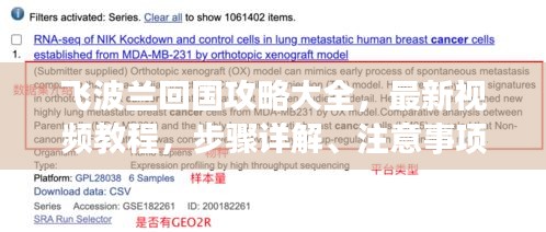 飞波兰回国攻略大全，最新视频教程，步骤详解、注意事项及实用建议一网打尽