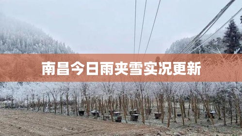 南昌今日雨夹雪实况更新