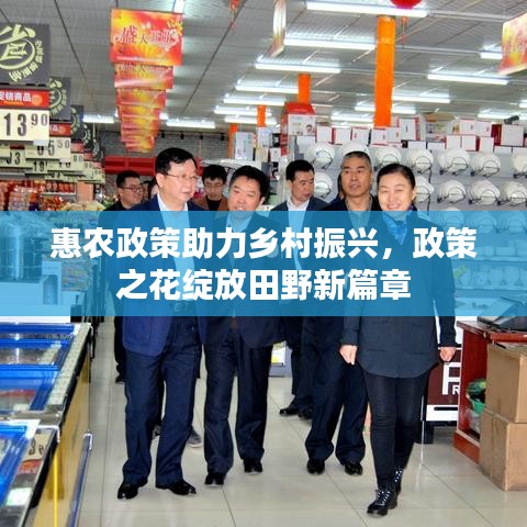 惠农政策助力乡村振兴，政策之花绽放田野新篇章