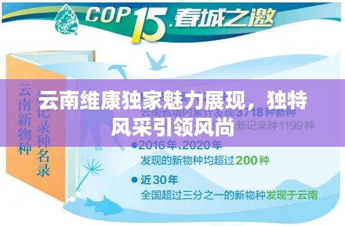 云南维康独家魅力展现，独特风采引领风尚