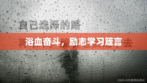 浴血奋斗，励志学习箴言