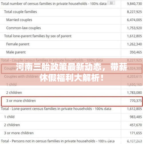 河南三胎政策最新动态，带薪休假福利大解析！