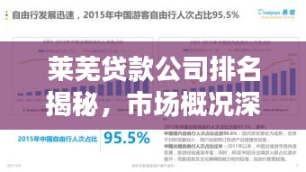 莱芜贷款公司排名揭秘，市场概况深度剖析